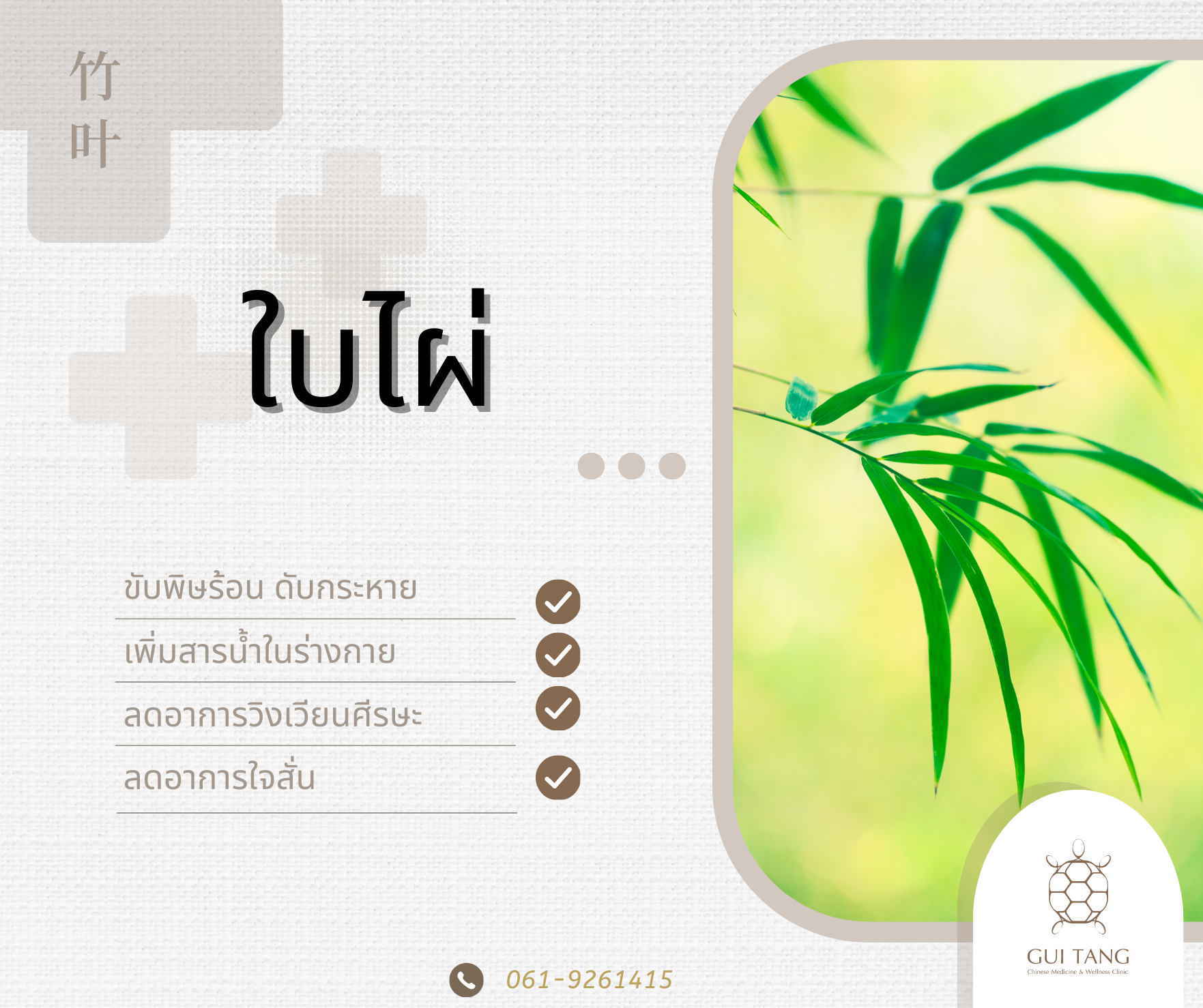สมุนไพรน่ารู้“ใบไผ่”