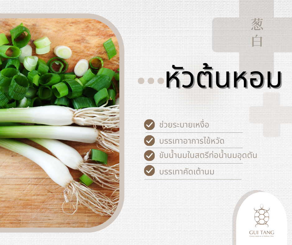 สมุนไพรน่ารู้“หัวต้นหอม”