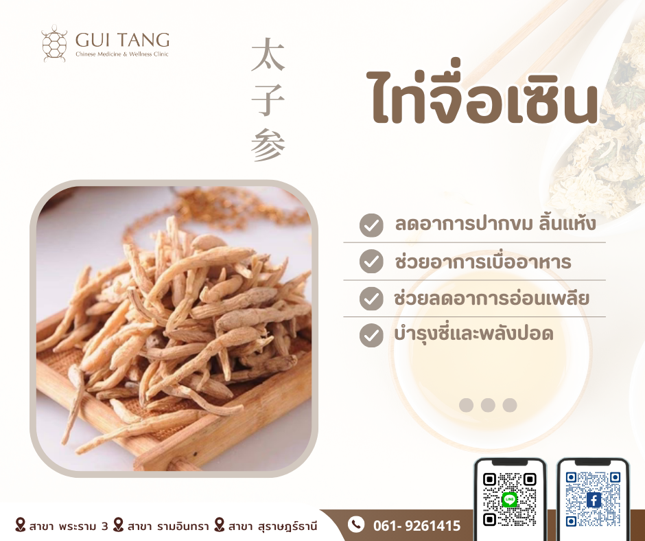 สมุนไพรน่ารู้“ไท่จื่อเซิน”