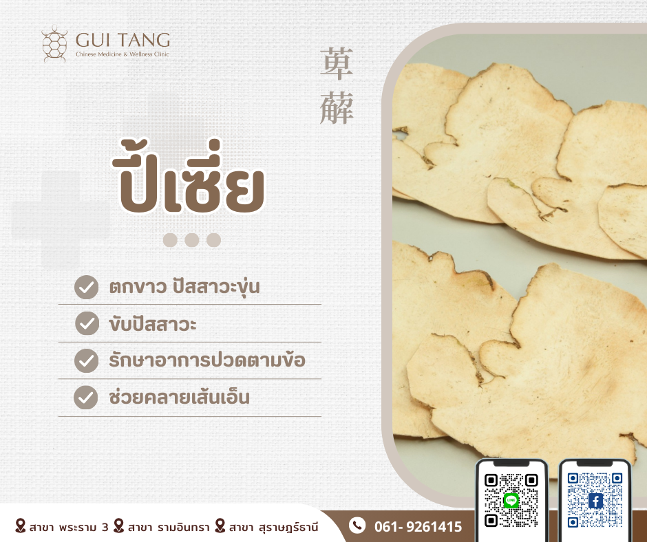 สมุนไพรน่ารู้“ปี้เซี่ย”