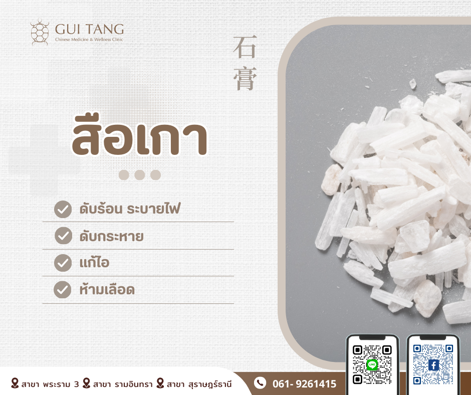 สมุนไพรน่ารู้“สือเกา”