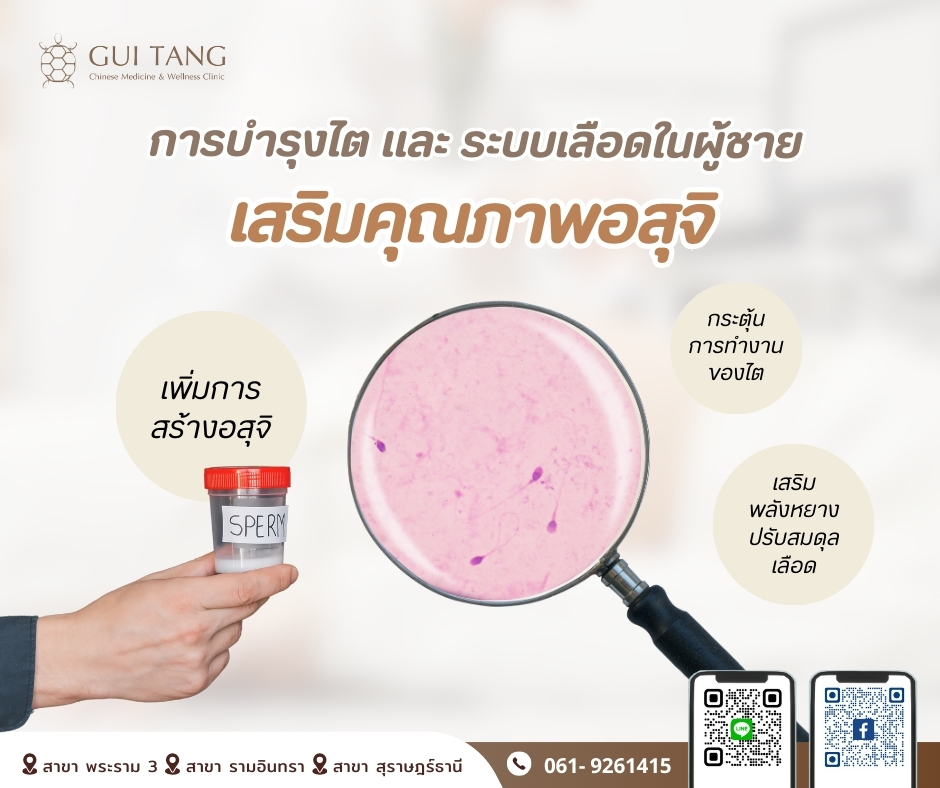 การบำรุงไต และ ระบบเลือดในผู้ชาย เสริมคุณภาพอสุจิ