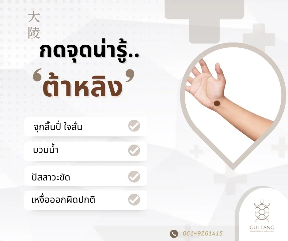 กดจุดน่ารู้ "ต้าหลิง"