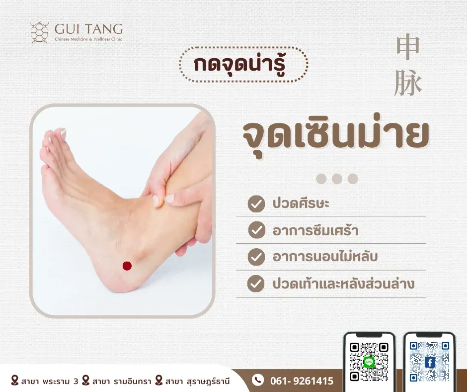 กดจุดน่ารู้ "จุดเซินม่าย"