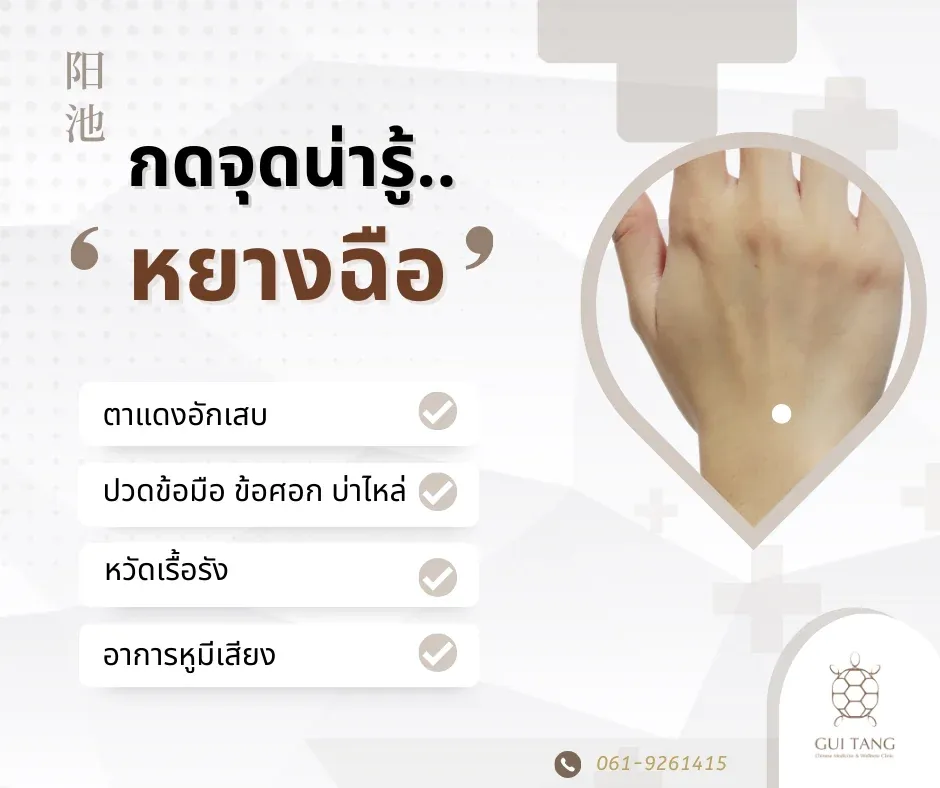 กดจุดน่ารู้ "หยางฉือ"