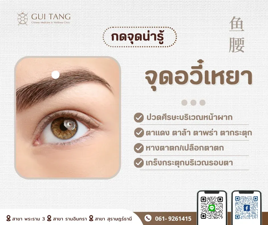 กดจุดน่ารู้ "จุดอวี๋เหยา"
