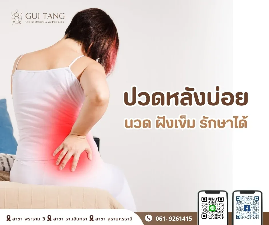 ปวดหลังบ่อย…รักษาได้ด้วยนวดและฝังเข็ม