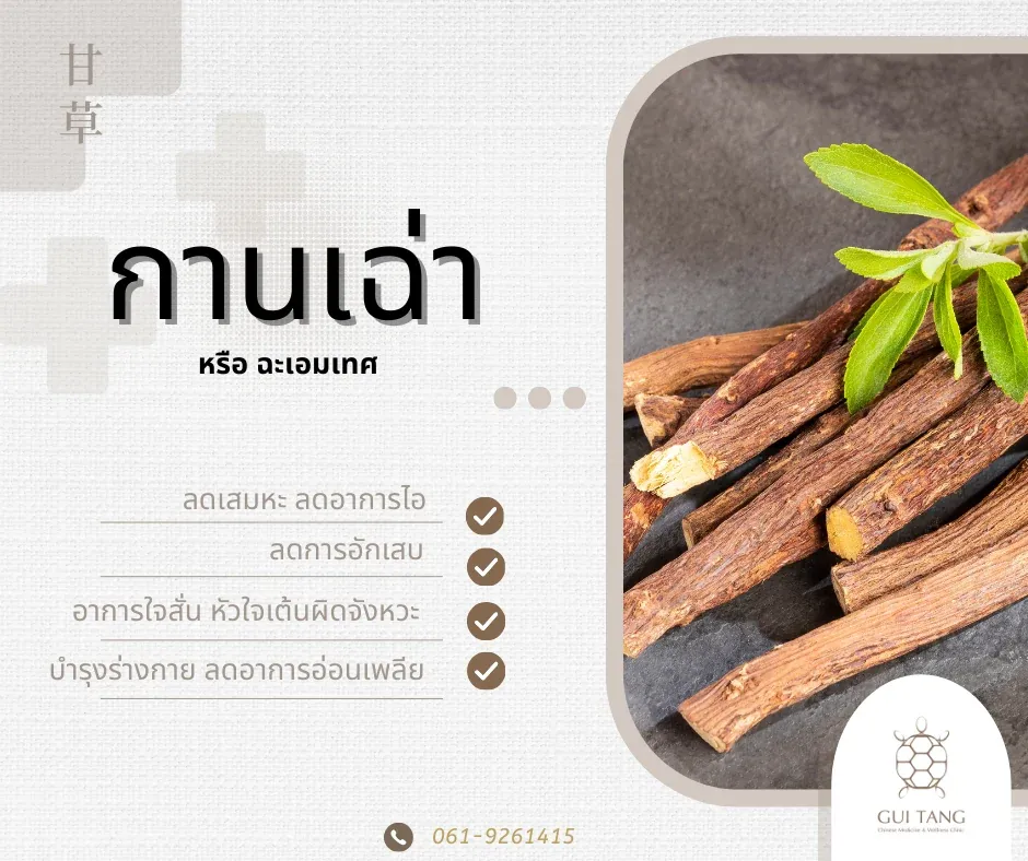 สมุนไพรน่ารู้“กานเฉ่า”