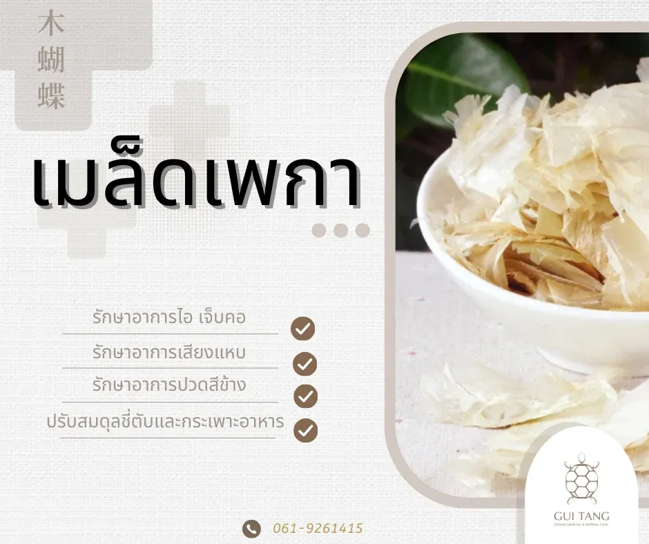 สมุนไพรน่ารู้“เมล็ดเพกา”