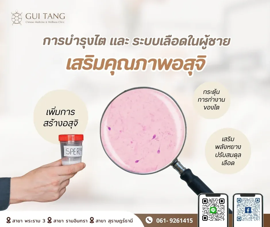 การบำรุงไต และ ระบบเลือดในผู้ชาย เสริมคุณภาพอสุจิ