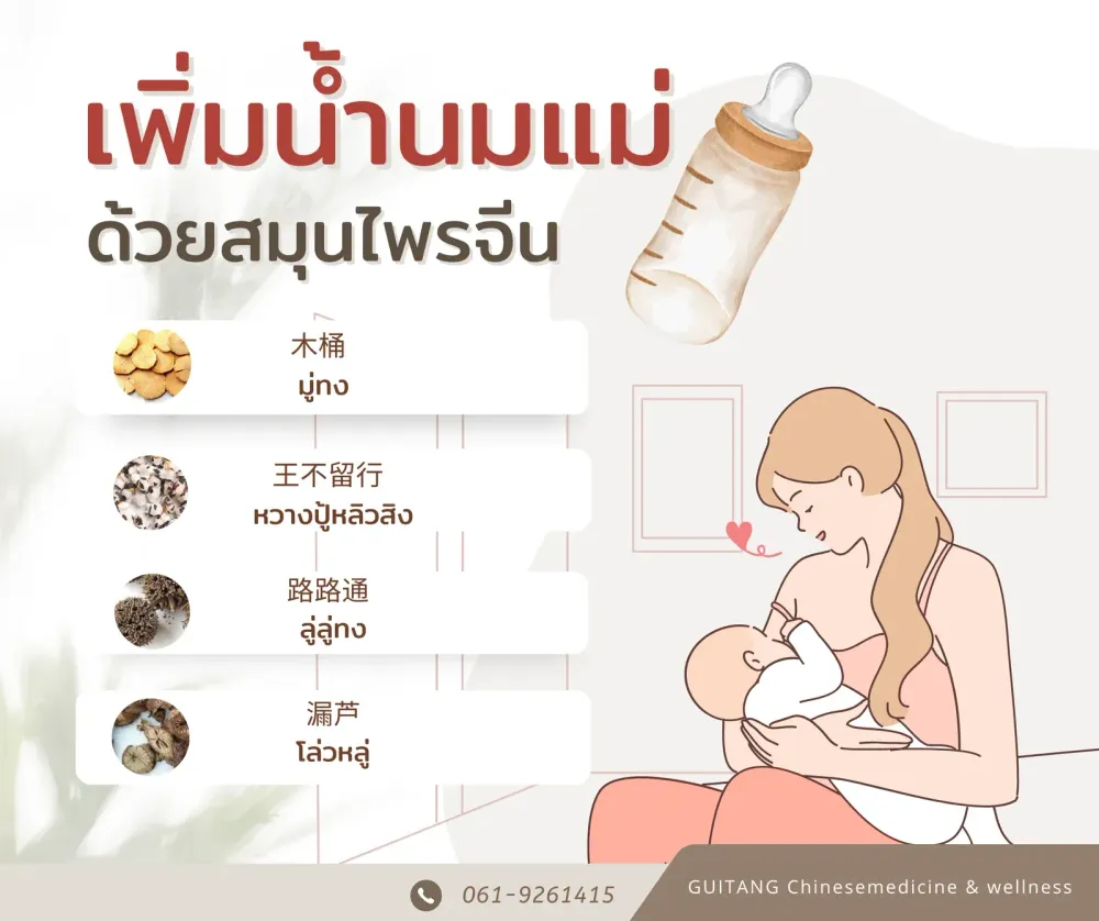 เพิ่มน้ำนมด้วยสมุนไพรจีน
