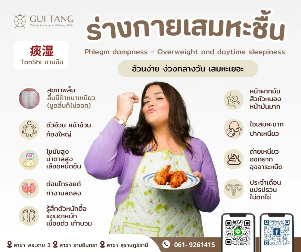ร่างกายแบบเสมหะชื้น 痰湿
