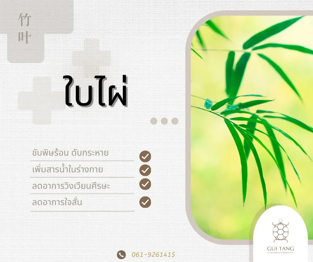 สมุนไพรน่ารู้“ใบไผ่”