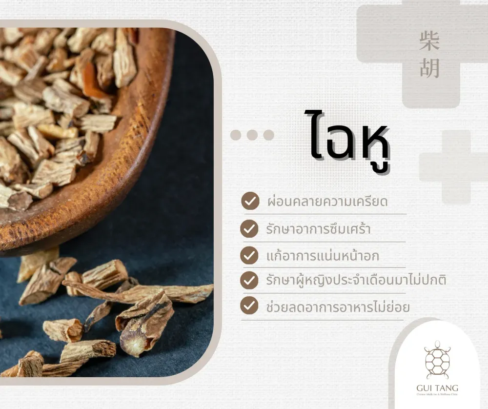 สมุนไพรน่ารู้“ไฉหู“