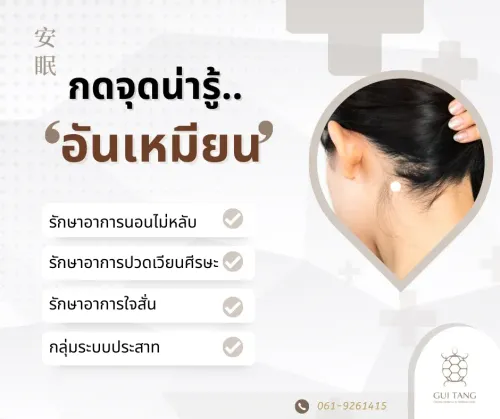 กดจุดน่ารู้ "อันเหมียน"