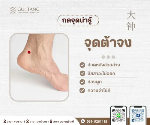 กดจุดน่ารู้ "จุดต้าจง"