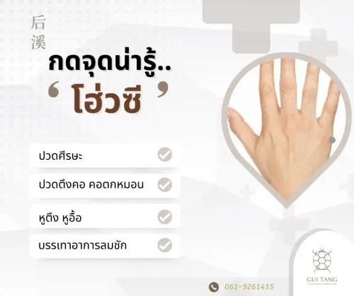 กดจุดน่ารู้ "โฮ่วซี"