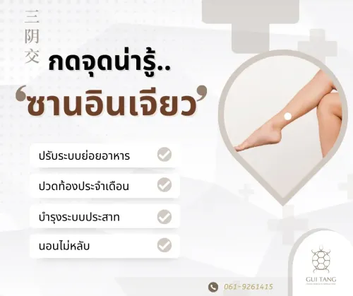 กดจุดน่ารู้ "ซานอินเจียว"