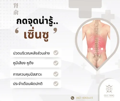 กดจุดน่ารู้ "เซิ่นซู"