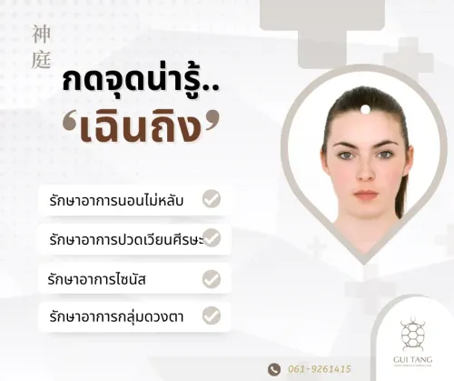 กดจุดน่ารู้ "เฉินถิง"