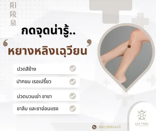 กดจุดน่ารู้ "หยางหลิงเฉฺวียน"