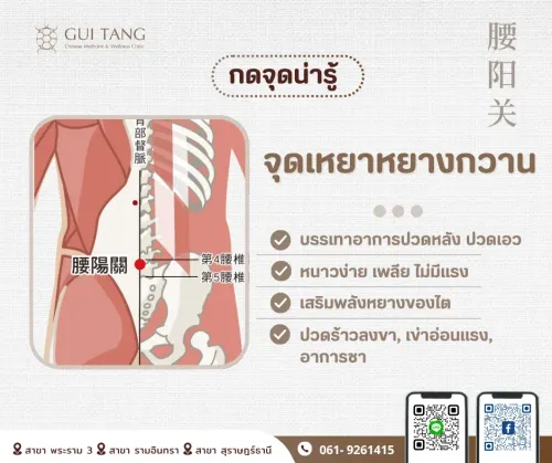 กดจุดน่ารู้ "จุดเหยาหยางกวาน"