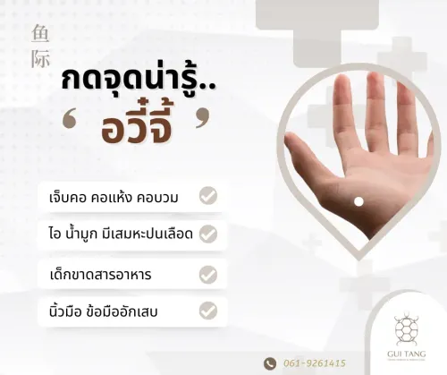 กดจุดน่ารู้ "อวี๋จี้"