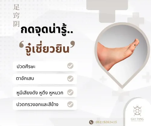กดจุดน่ารู้ "จู๋เชี่ยวยิน"