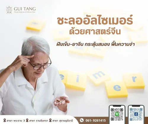 “ชะลออัลไซเมอร์ ด้วยศาสตร์จีน: ฝังเข็ม–ยาจีน กระตุ้นสมอง ฟื้นความจำ”