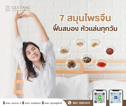 “7 สมุนไพรจีนฟื้นสมอง หัวแล่นทุกวัน”