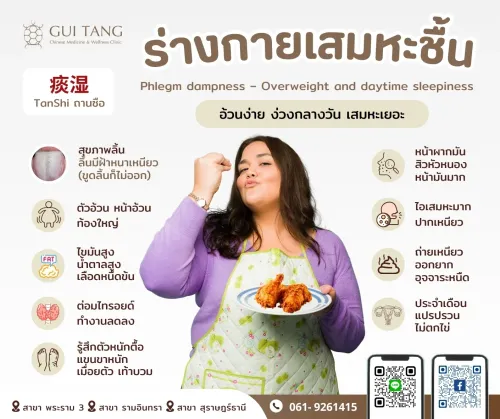 ร่างกายแบบเสมหะชื้น 痰湿