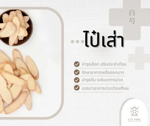 สมุนไพรน่ารู้“ไป๋เส่า”