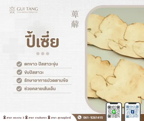 สมุนไพรน่ารู้“ปี้เซี่ย”