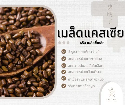สมุนไพรน่ารู้“เมล็ดแคสเซีย”
