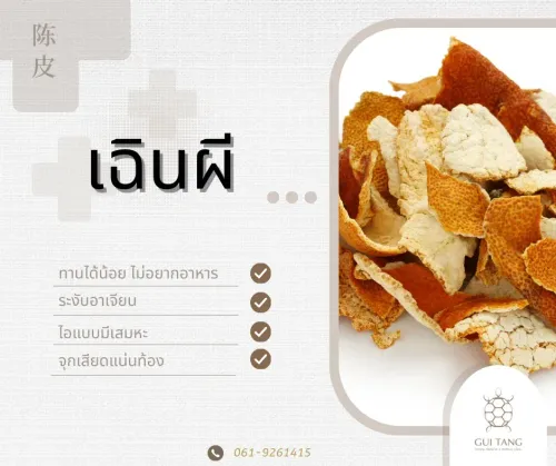 สมุนไพรน่ารู้“เฉินผี”