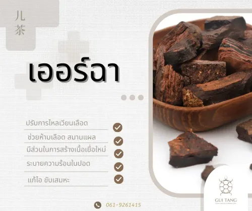สมุนไพรน่ารู้“เออร์ฉา”