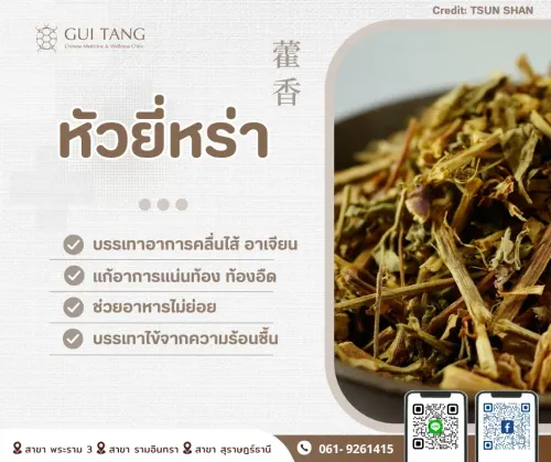 สมุนไพรน่ารู้“หัวยี่หร่า”