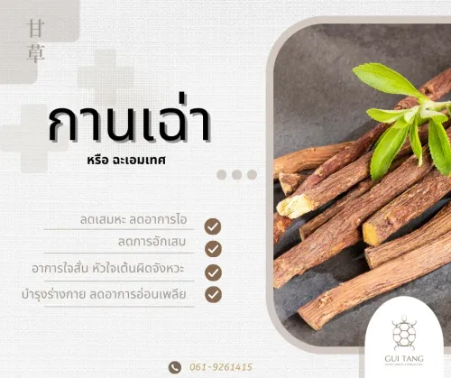 สมุนไพรน่ารู้“กานเฉ่า”