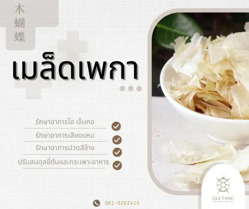 สมุนไพรน่ารู้“เมล็ดเพกา”