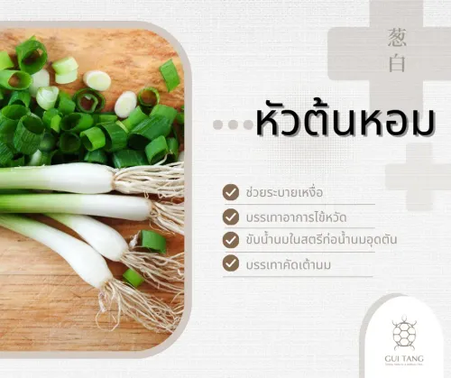 สมุนไพรน่ารู้“หัวต้นหอม”