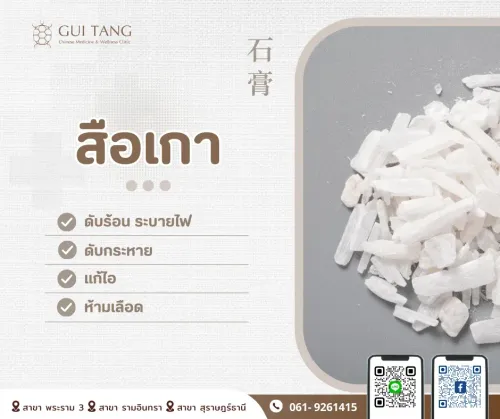 สมุนไพรน่ารู้“สือเกา”