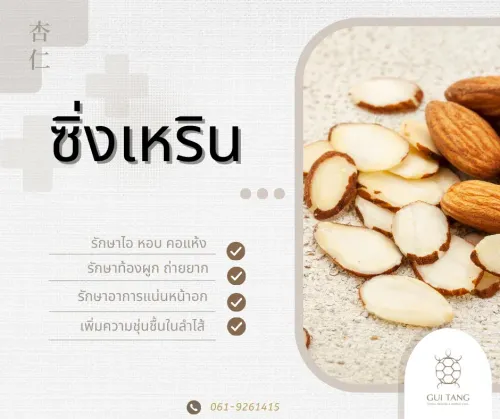 สมุนไพรน่ารู้“ซิ่งเหริน”