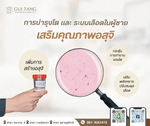 การบำรุงไต และ ระบบเลือดในผู้ชาย เสริมคุณภาพอสุจิ