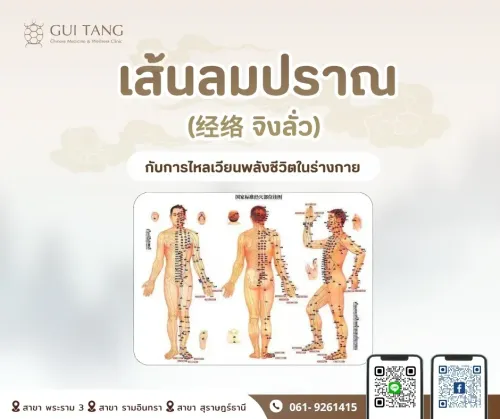 เส้นลมปราณ (经络 จิงลั่ว) กับการไหลเวียนพลังชีวิตในร่างกาย