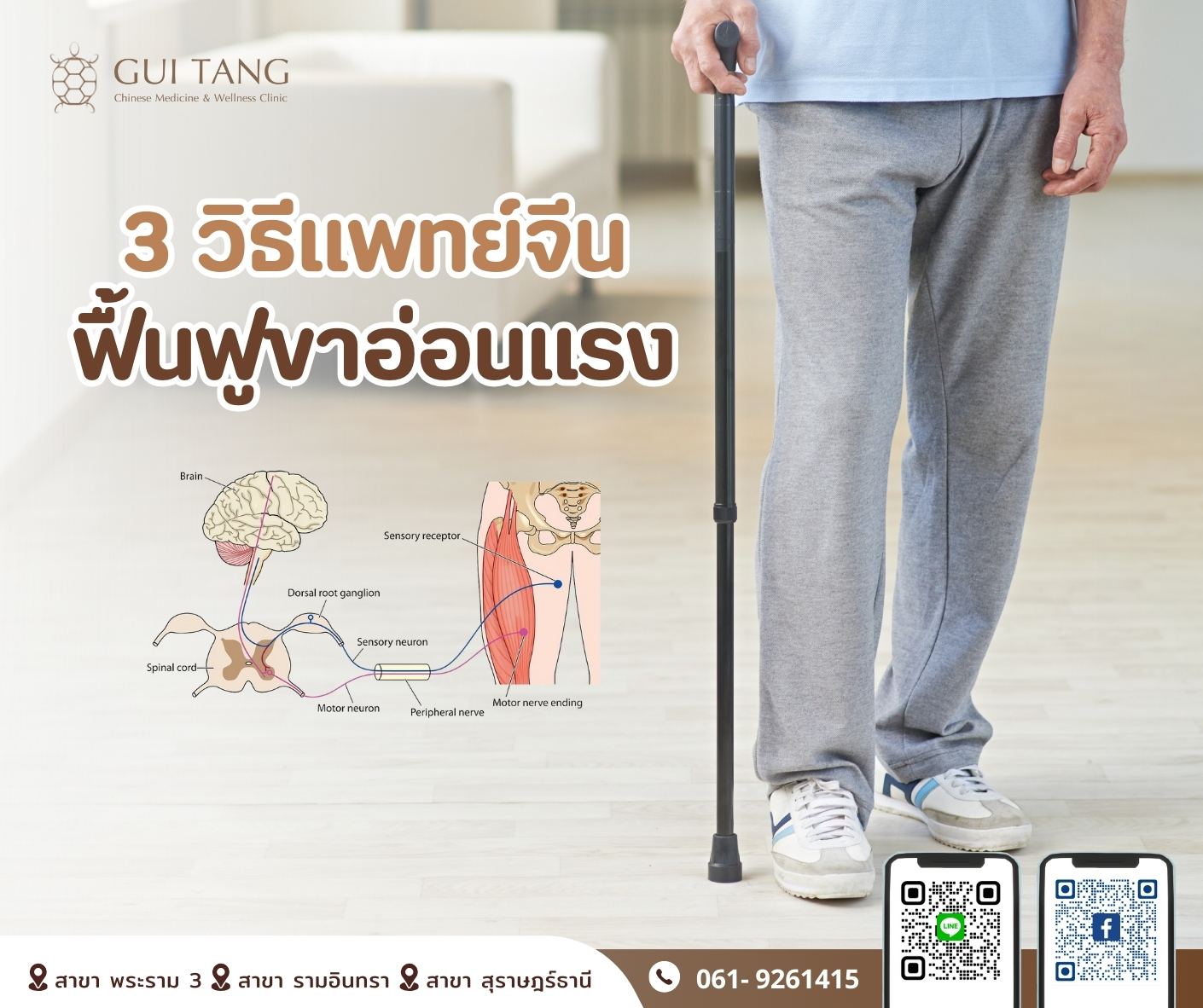  “3 วิธีแพทย์จีนฟื้นฟูขาอ่อนแรง”