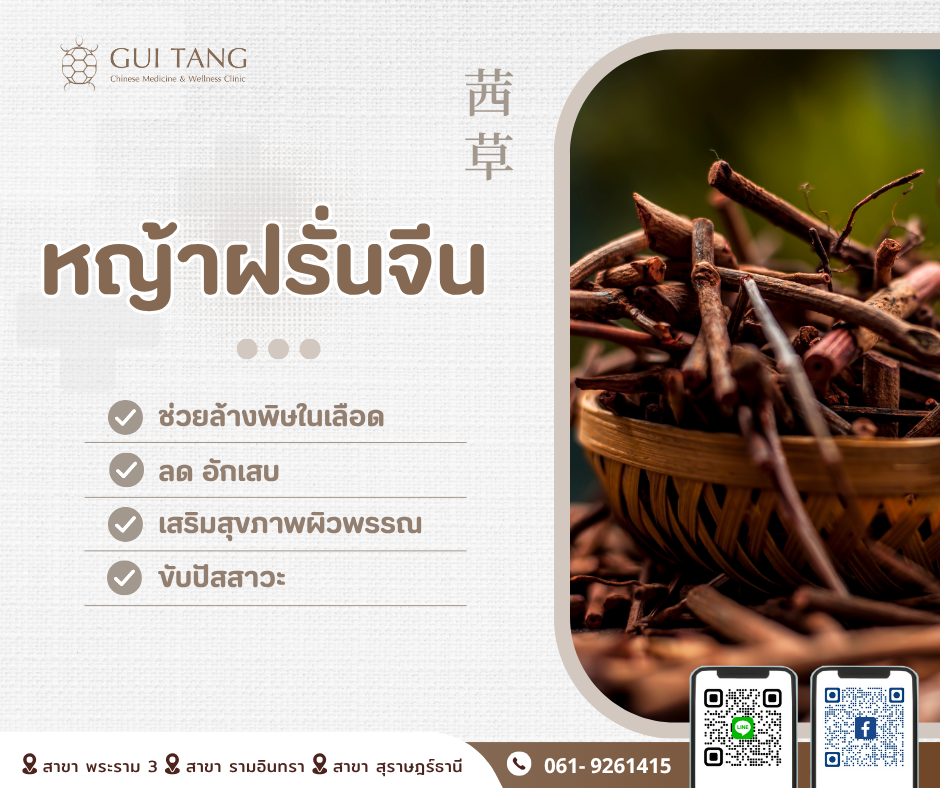 สมุนไพรน่ารู้“หญ้าฝรั่นจีน”