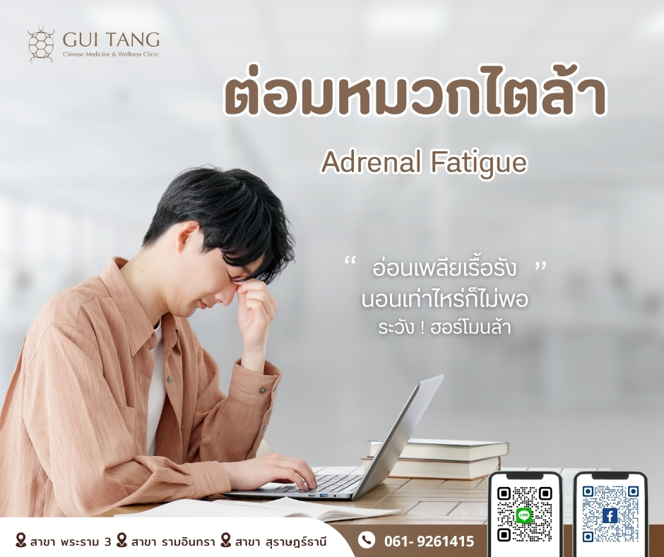 อ่อนเพลียเรื้อรัง ระวัง ! ฮอร์โมนล้า ต่อมหมวกไตล้า