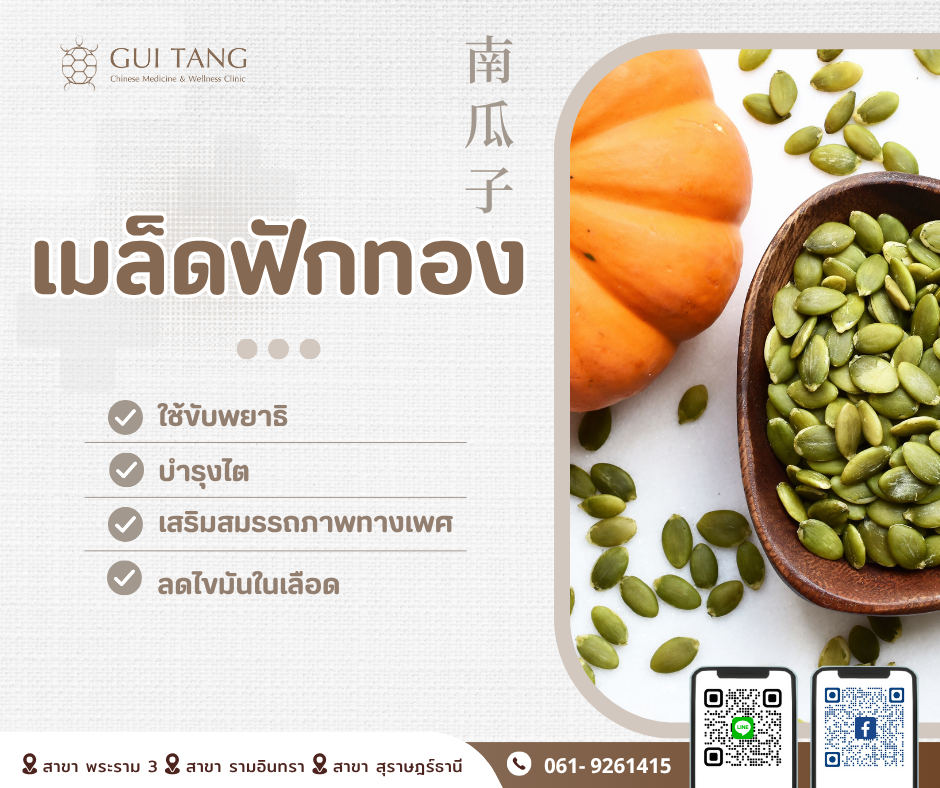 สมุนไพรน่ารู้“เมล็ดฟักทอง”