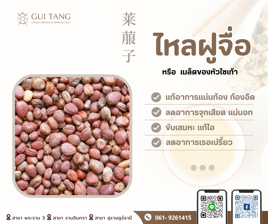 สมุนไพรน่ารู้“ไหลฝูจื่อ”