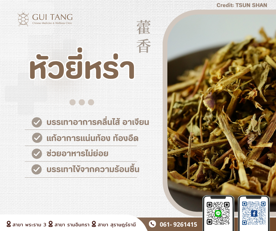 สมุนไพรน่ารู้“หัวยี่หร่า”